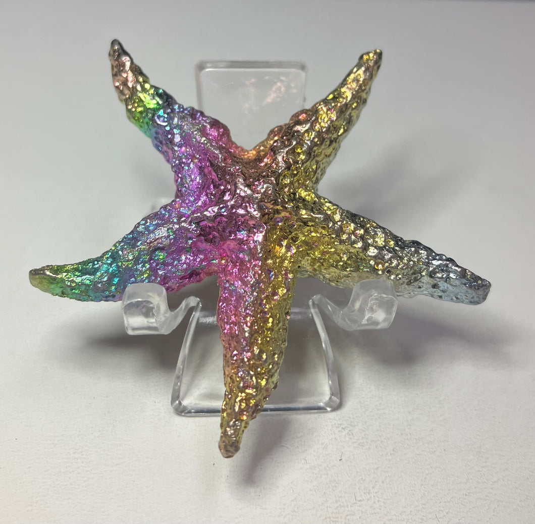 Small Starfish